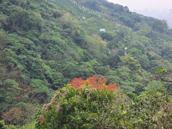 林牛山+聚興山2709923