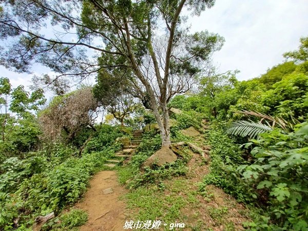 【台中北屯】走步道洗塵心。 No42小百岳南觀音山x青春嶺2196470