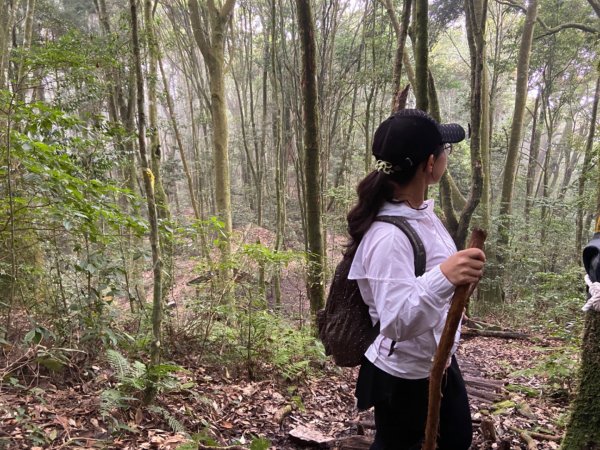 谷關七雄-馬侖山1116742