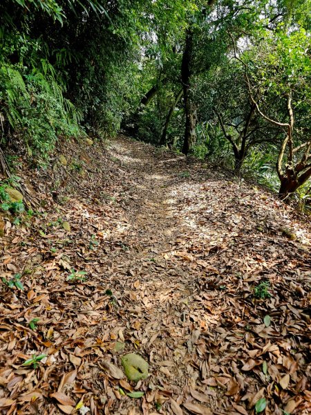 三段崎古道-2025森遊竹縣皮皮獅探險隊2890102