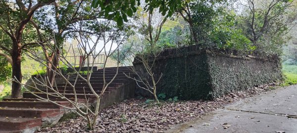 坑內坑森林步道2698777