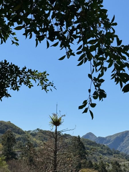 20250216瑞峰瑞里健行2730537