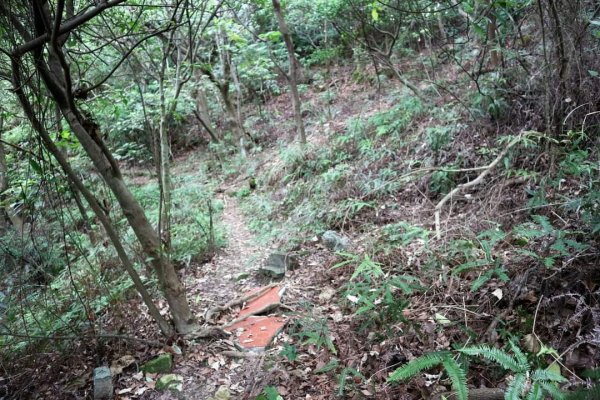 唭哩岸山 奇岩山 東華山。唭哩岸烏尖連峰步道 懸崖峭壁巨石 攀岩愛好的天堂2175919