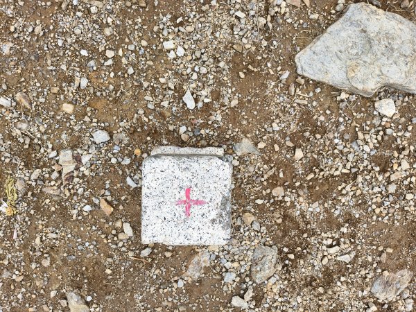 北一段(10/14)馬比杉山 2025_0906~132887144