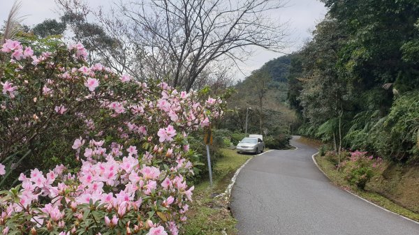 大尖山四分尾山1067380