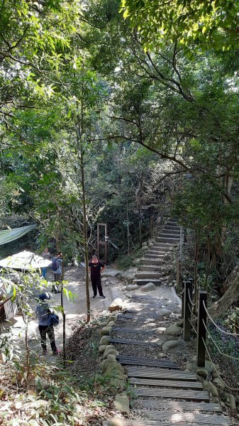 《台中》枕木黑松｜大坑步道5_1上5下202210291893428