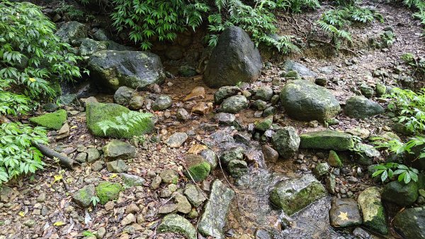 楊廷理古道2814597