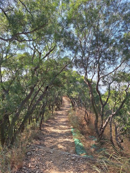 大肚環保公園步道+大尖山+萬里長城步道萬里長城步道202512072956508