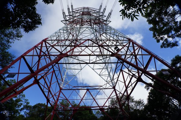 宜蘭 南澳 澳花山2881295