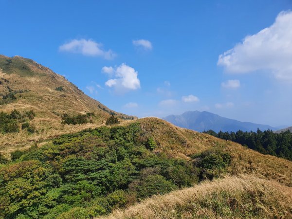 七星山主、東峰登山步道（小百岳）1275224