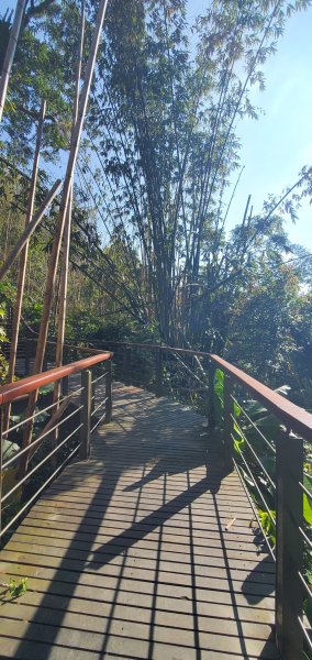 2025-01-30迷糊步道2704454