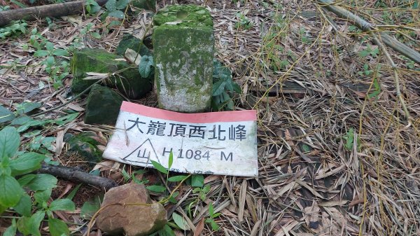 雲嘉九連峰1438995