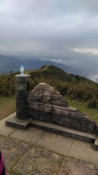 2019 3/2 草嶺古道 桃源谷853698