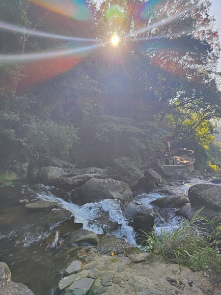 草山觀瀑吊橋-百年楓香巨木-草山水管支線-大屯瀑布-小隱潭瀑布2982753