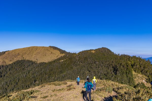 [百岳]合歡北、西峰3039373