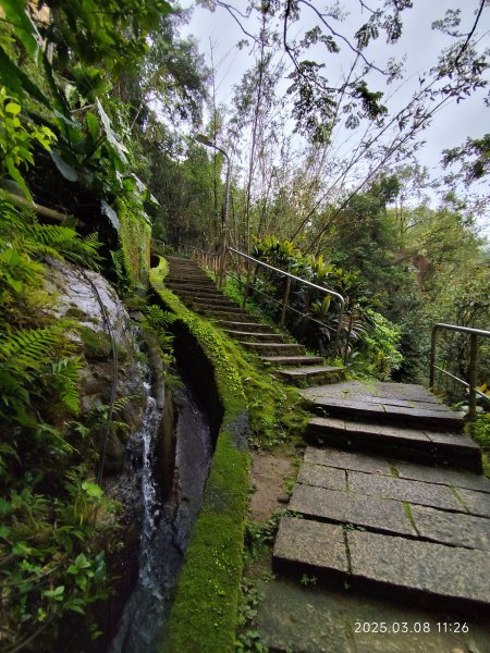 【臺北大縱走6】中華科大步道→九五峰→南港山→糶米古道→軍功山→中埔山→福州山公園→富陽自然生態公園2730070