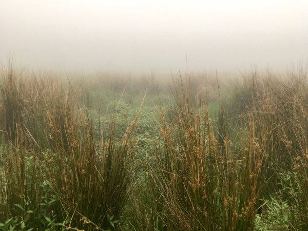 向天池-向天山-面天山638270