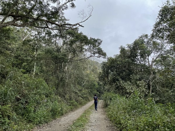 小百岳｜高雄茂林鳴海山1606714