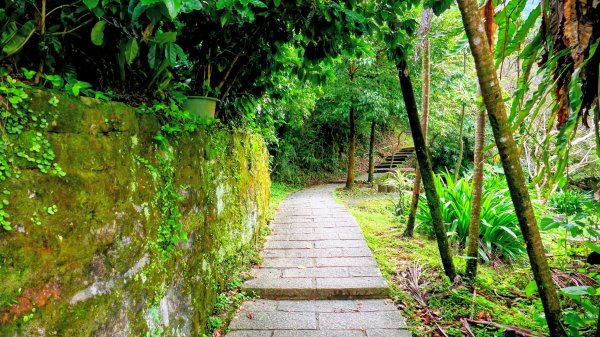 你若來汐止2961404