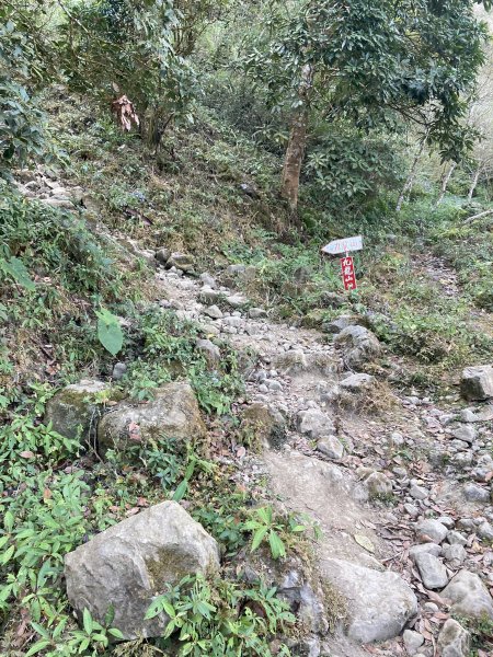 20260219九龍山+崩山+黑石崁山南峰+黑石崁山+凍仔頂山3002560