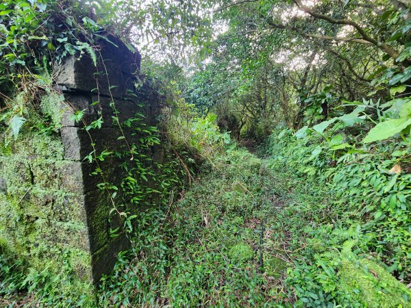 20241201侯硐復興煤礦三貂嶺山大小粗坑O型2681260