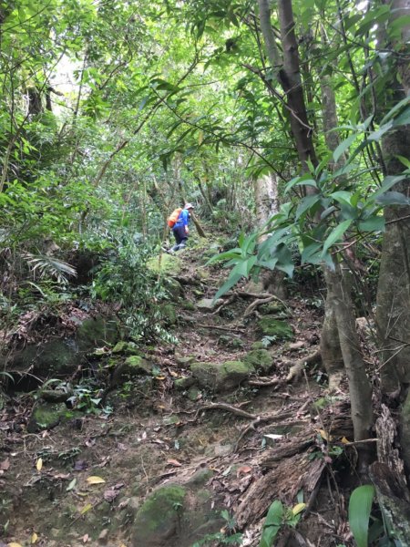 雙玉皇宮(三峽長壽山到中和圓通)843923