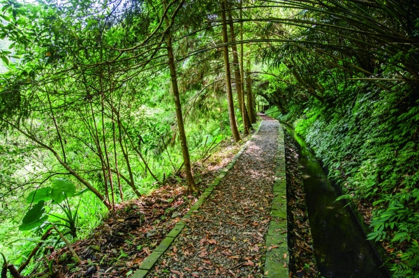 【書摘】《新北登山小旅行》－大羅蘭溪古圳步道