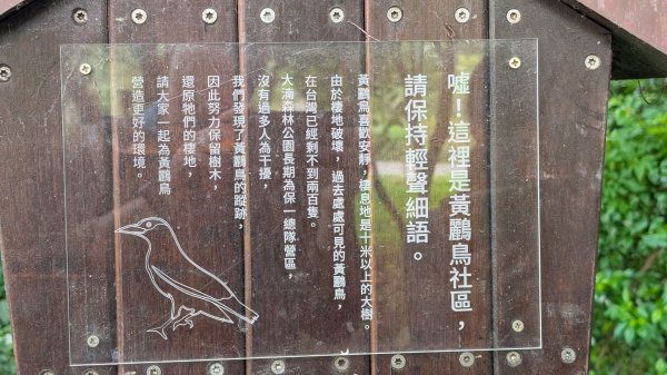 20250629大湳森林公園好所在2823583