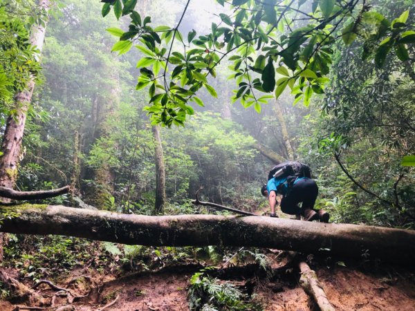 1090725高台山+美人湯1045483