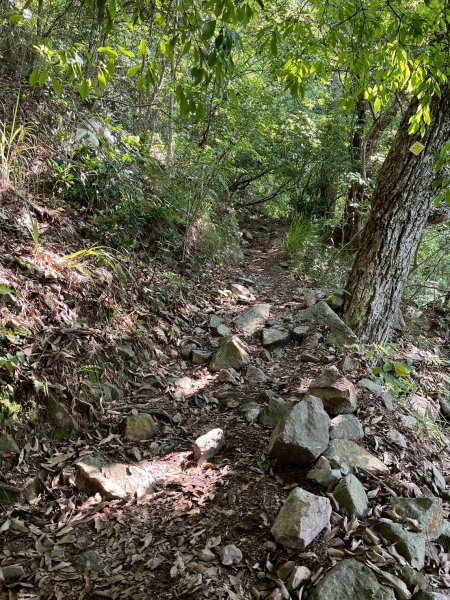 台中 和平 東卯山2771828