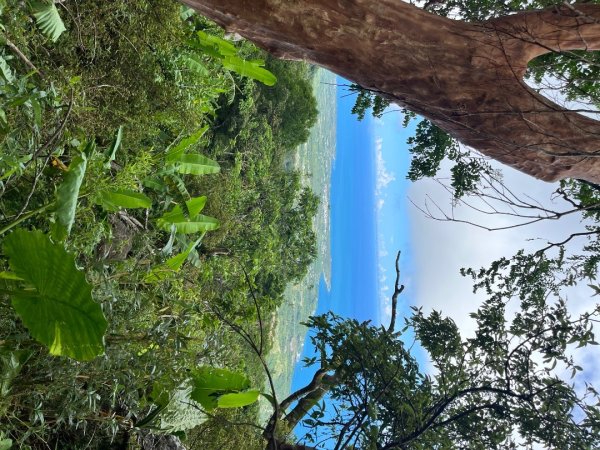 20251013_都蘭山（台東小百岳）2941342