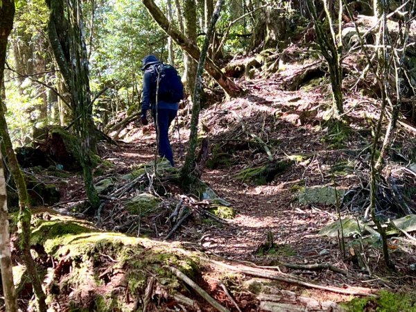 船型山環走大雪山210林道2978056