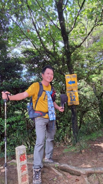 加里山P縱202506222818645