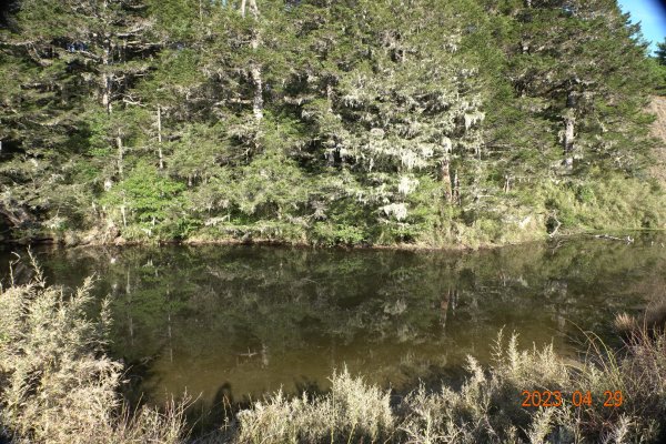 南投 仁愛 武法奈尾山2133762