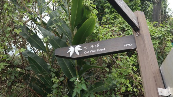 獵貍尖步道連走烏塗溪步道登山健行趣(淡蘭南路TK3-6&TK3-5&TK3-4)2404501