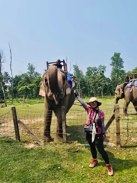 尼泊爾奇旺國家公園4天三夜2790889
