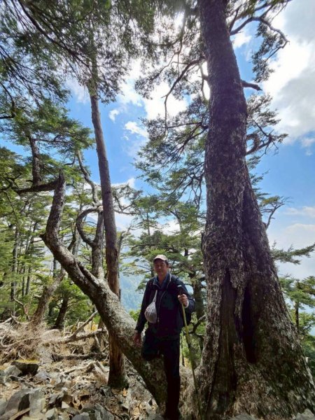 20260320四個毆鷄桑🦸‍♀️南橫溪頭山O繞關山嶺山3022704