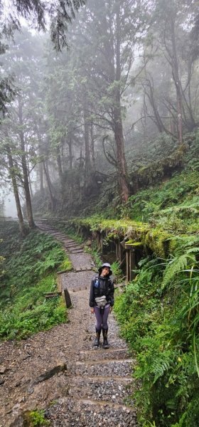 太平山翠峰湖見晴懷古步道2629007