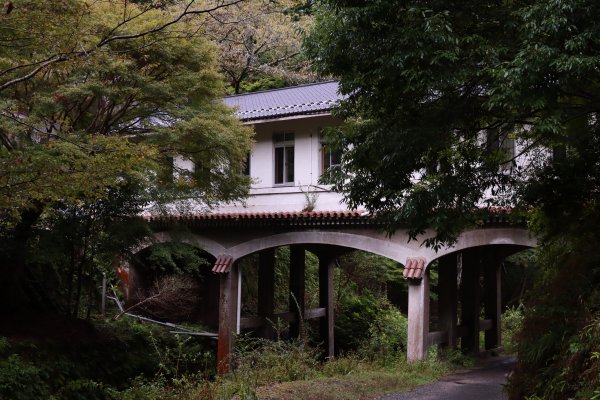 高野参詣道：不動坂に始まり祈りは奥の院へ封面