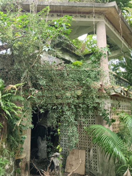 微笑山線和美山螢火蟲段2986171