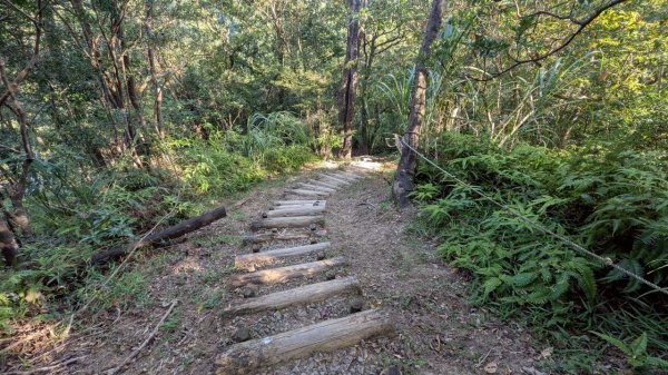 114.06.28內平林山-番子坑山-平湖森林遊樂區之O型2824276