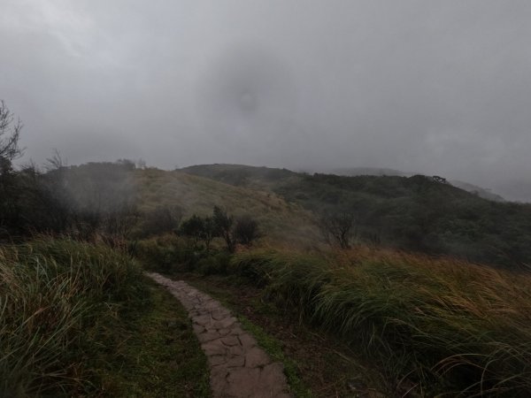 頂山石梯嶺步道周遭十個山頭 111.1.111578932