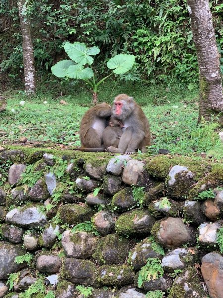 20231016宜蘭仁山植物園2322215