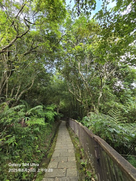 2025-08-10臺北大縱走第六段：中華科技大學至捷運麟光站2856571