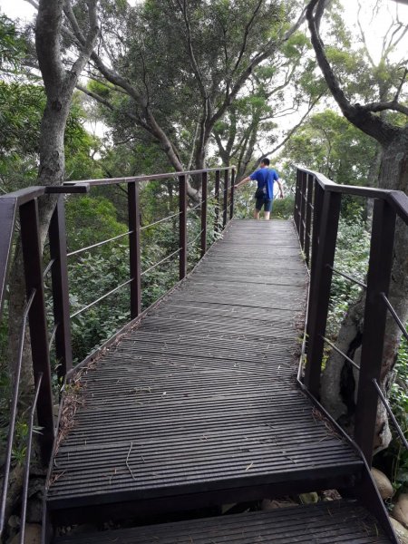 彰化田中麒麟山森林步道20190707625486