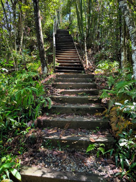 2024-08-22 澀水森林步道2578456