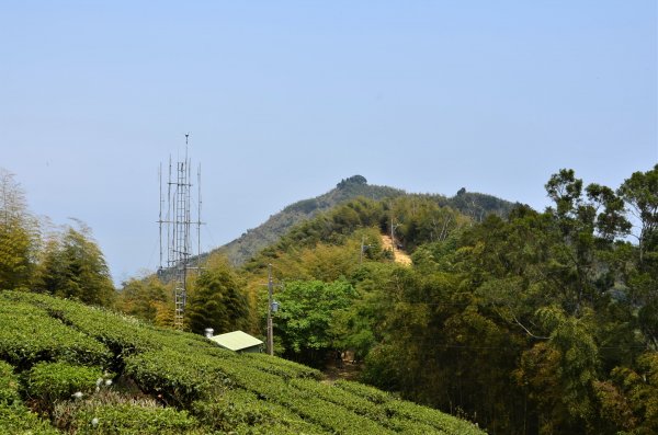 後棟仔山 & 雲嘉大尖山1378314