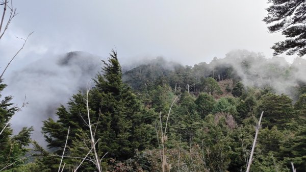 西巒大山~巒安堂 2024年10月13日封面