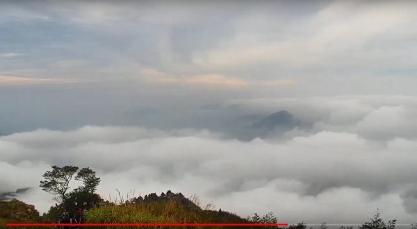 阿里山雲瀑&雲海/富士山直播即時視訊833452