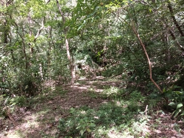 雙溪區盤山坑古道+過火坪古道O型2882382